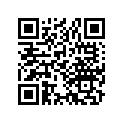 13105-323-000 Piston (1.00)