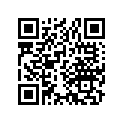 13105-329-000 Piston