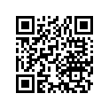 13105-330-000 Piston