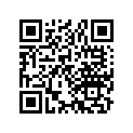 13105-373-000 Piston comp(1.00)