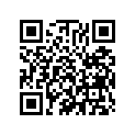 13105-375-003 Piston (1.00)