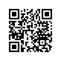 13105-377-000 Piston (1.00)