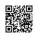13105-384-000 Piston (1.00)
