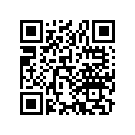 13105-391-000 Piston (0.25)