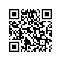 13105-392-000 Piston(1.00 0.s.)