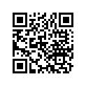 13105-399-010 Piston