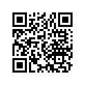 13105-417-010 Piston (1.00)