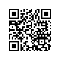 13105-427-000 Piston (1.00)