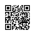 13105-438-000 Piston (1.00)