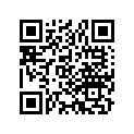 13105-447-671 Piston (1.00)