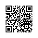 13105-463-004 Piston (1.00)