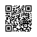 13105-964-810 Piston (1.00)