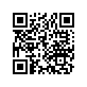 13105-964-820 Piston (1.00)