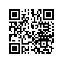 13105-HA5-305 Piston (1.00)