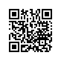 13105-KYZ-900 PISTON (1.00)