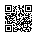 13105-MBZ-305 Piston,os 1.00