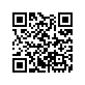 13105-MN0-305 Piston (1.00)