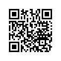 13105-ZG5-D60 PISTON(OS)(0.50)