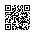 13106-32500 Piston (os) (0.25)