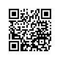 131071039 
