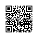 13110-29K10-000 Discontinue