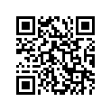 13110-49F10-000 