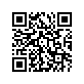 13115-27A01 O-RING