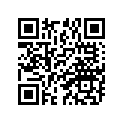 13121-02100-000 Прокладка впуска