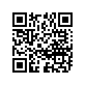 13153-48700-000 