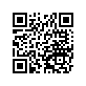 131641006 Balancer-comp