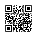 13168-1016 Lever,link