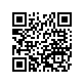 13168-1031 Lever,link