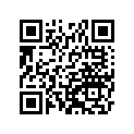 131681424 Lever