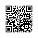 131681529 Lever, Balancer