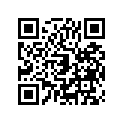 131681680 Lever