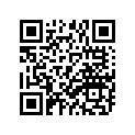 132-17411-01-00 