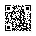 132-81211-10-00 