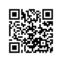 13200-04730-000 