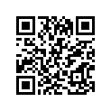 13200-27211-000 