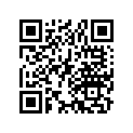 13201-169-300 Rod, Connecting