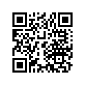 13201-216-000 Rod, Connecting