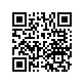 13201-HA5-300 Rod, Connecting