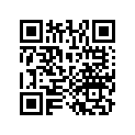 13201-HB3-300 Rod, Connecting