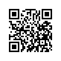 13202-429-300 PL.,CONN ROD SIDE