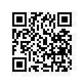 13210-33200-000 O Ring  5pk