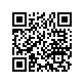 13210-333-013 Rod c,connecting