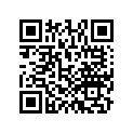 13210-PLM-A00 ROD,CONNECTING