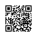 13219-371-003 Brg E (2&4 Yellow)