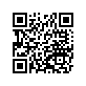 13236-1205 レバ-コンプ，フロント ブレ-キ