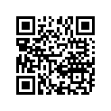 13246-22A00 O RING